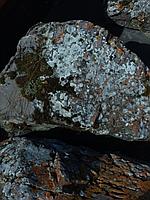 img_20170909_wa0003.jpg