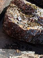img_20170909_wa0007.jpg